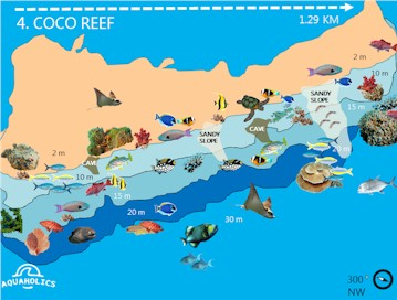 Coco Reef